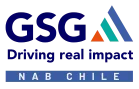 GSG Drivin real impact NAB CHILE